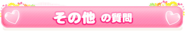 その他の質問